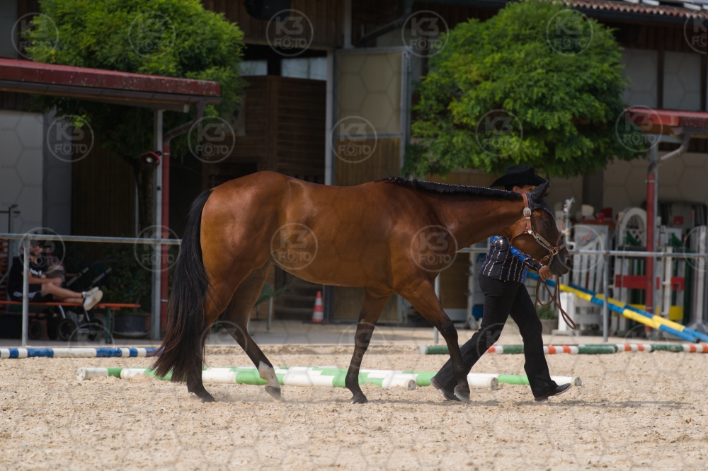 s_batch_A9_00084.jpg